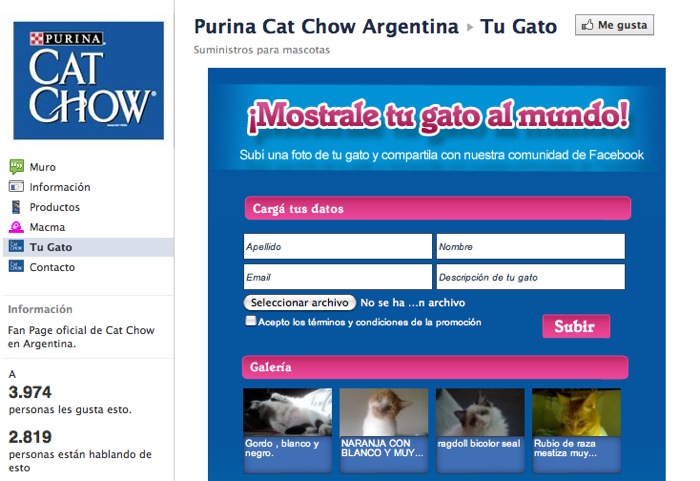 Tab Tu Gato para que los usuarios compartan las fotos de sus mascotas.